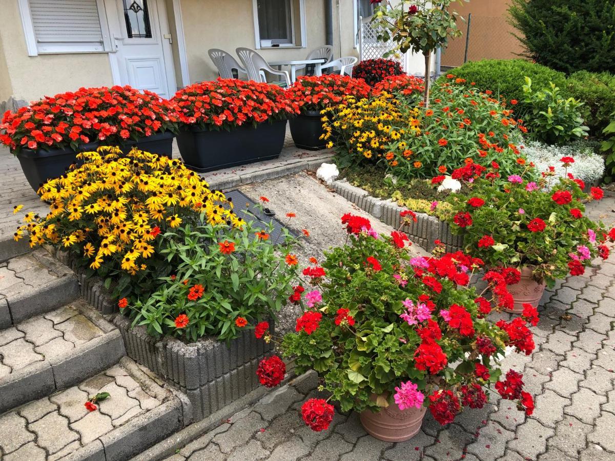 Jozsef Apartments House Zalakaros Ngoại thất bức ảnh